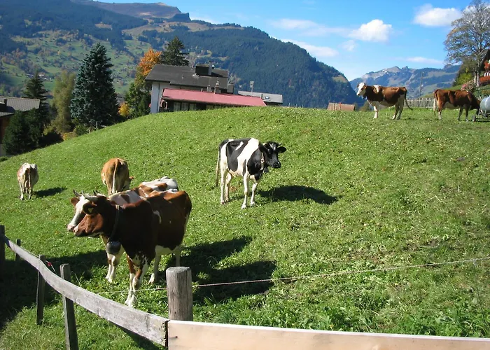 Alpenhof